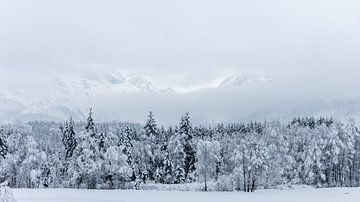 Sneeuwlandschap in Maishofen (A) van Martine Dignef