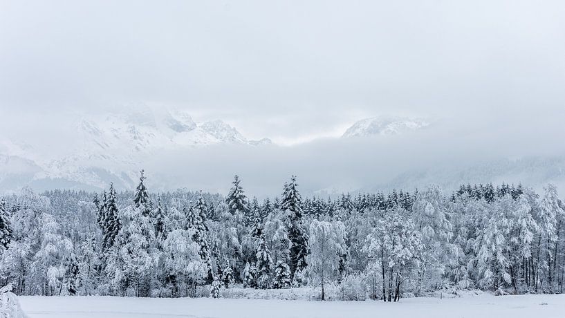 Schneelandschaft in Maishofen (A) von Martine Dignef