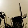 Fietser en windmolen van Robert van Willigenburg