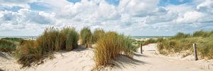 Panoramic image of the dunes and the North Sea by eric van der eijk