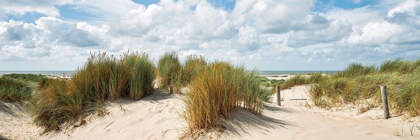 Panoramabeeld van de duinen en de Noordzee van eric van der eijk