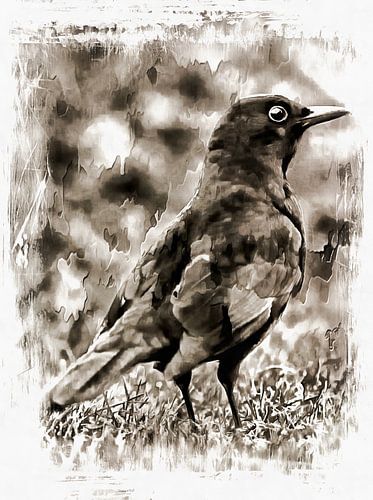 Ik ga niet in een taart