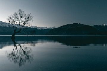 The reflection of the Wanaka Tree in winter by Sophia Eerden