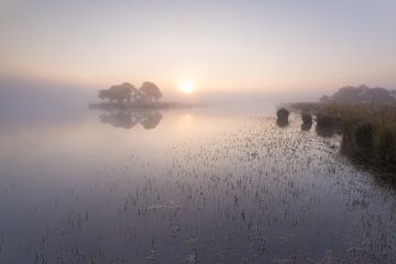 Strabrechtse Heide 225 by Deshamer