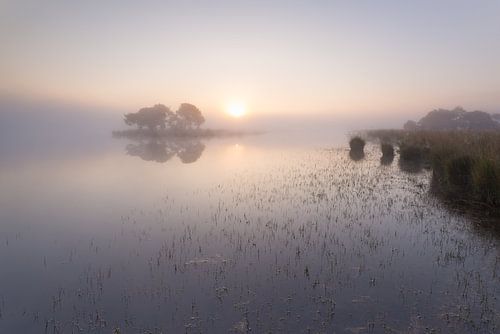 Strabrechtse Heide 225