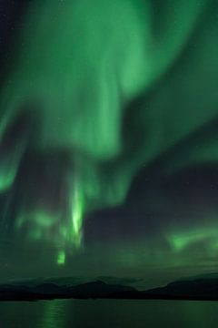 Aurora Borealis über dem See Torneträsk