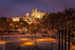 Blick vom Hafen zur Kathedrale La Seu in Palma de Mallorca