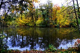 Stiller Teich von Evgeniya Wesseling