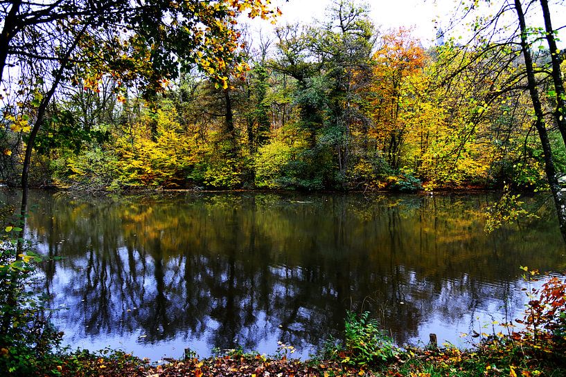 Quiet Pond by Evgeniya Wesseling