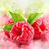Framboises sur Theodor Decker