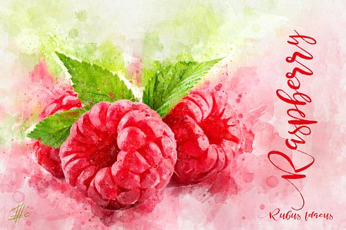 Raspberries