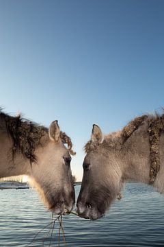 Samen van Edwin Smits