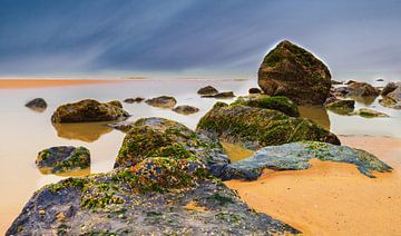 Beachrock von Wim van D