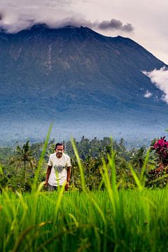 Zwischen Reisfeldern und am Vulkan von Danny Bastiaanse