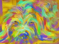 Dog Matze
