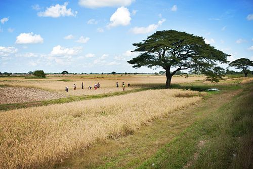 Myanmar - Yangon - Mandalay railway
