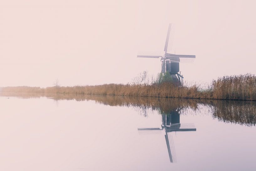 Neblige Polderwelt von Gerard Stasse Fotografie