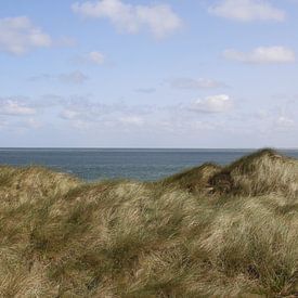 Weitblick mit Dünenlandschaft auf Sylt von Martin Flechsig