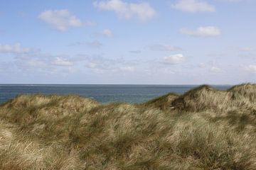 Panoramic view with dune landscape on Sylt