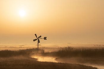 Le moulin dans la lumière du matin