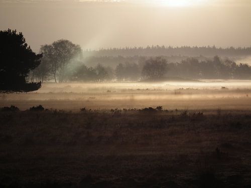 Mist met een straaltje zon