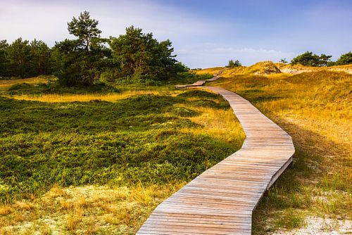 Ways to relax XXIII by Daniela Beyer