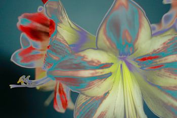 Flower Power