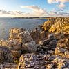 Küste beim Pointe du Toulinguet, Camaret-sur-Mer, Bretagne von Christian Müringer