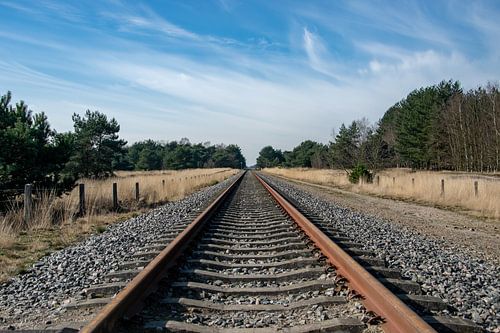 Oude spoorweg Weert door natuurgebied Bosoverheide