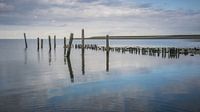 Texel (2)