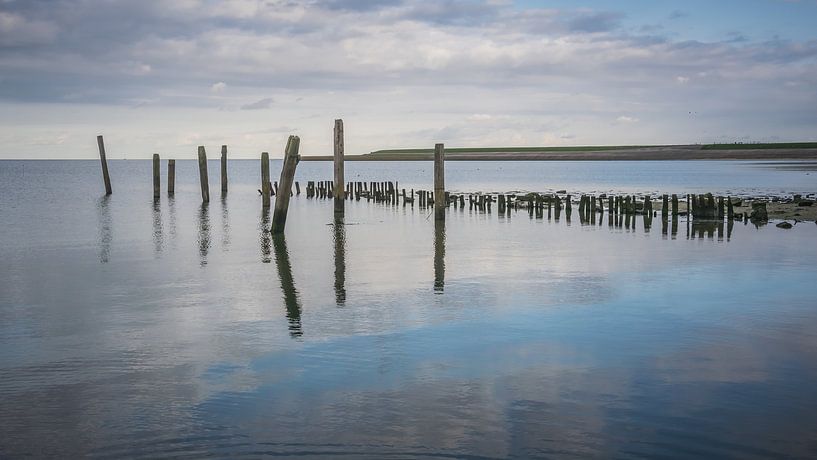 Texel (2) by Patrick Vischschraper