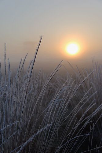 Sunrise in Drenthe Netherlands