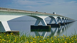 Zeelandbrug weerspiegeld in gladde Oosterschelde met zomerbloemen op de voorgrond.