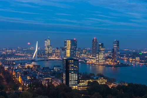 Rotterdam Kop van Zuid in the blue hour