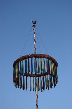 Maibaum 1