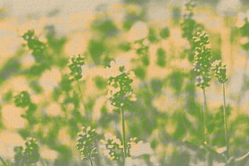 Lavender Field in Summer Light. Modern abstract botanical art by Dina Dankers