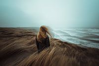 I Feel Free | Freedom, oneness with nature and desire for adventure