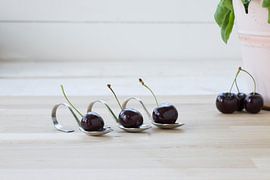 Kersen  sur Tom Smit