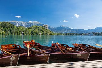 Roeiboten op het meer van Bled
