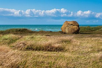 boulder and coast near Hirtshals in Denmark