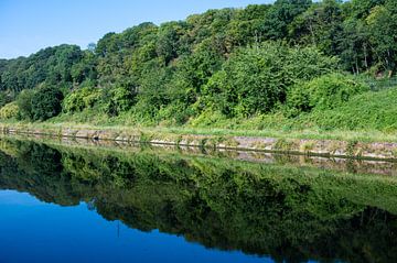 Trees and green vegetation reflecting in the banks of the River  van Werner Lerooy