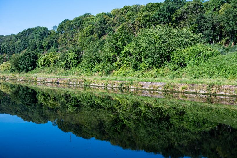 Trees and green vegetation reflecting in the banks of the River by Werner Lerooy