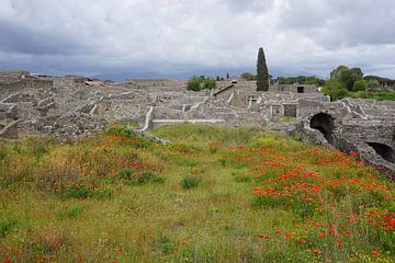 Die Ruinen von Pompeji von Dominic Corbeau