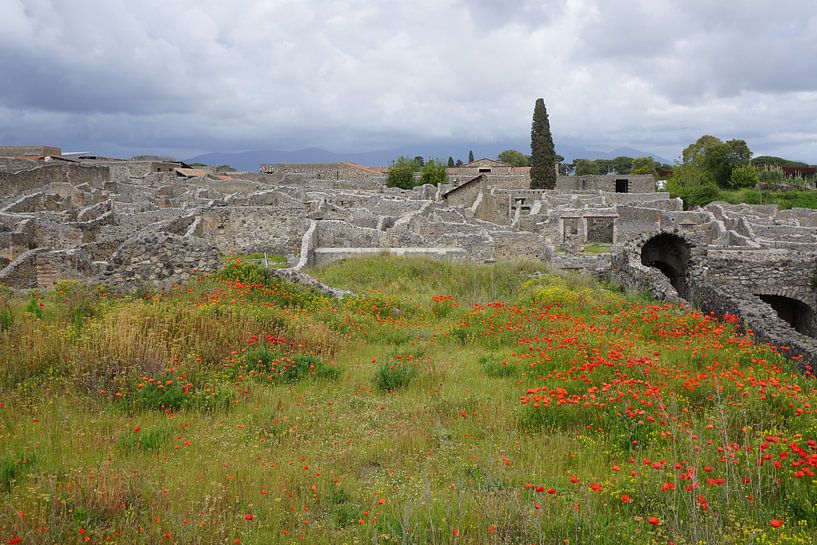 Les ruines de Pompéi par Dominic Corbeau