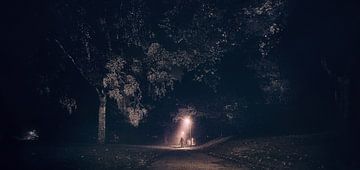 Een nacht in het bos - Jason wacht op je! van Jakob Baranowski - Photography - Video - Photoshop