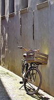 Abandoned Bike Blues