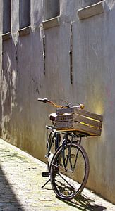 Abandoned Bike Blues van Eric Oudendijk