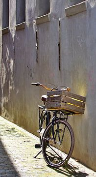 Abandoned Bike Blues von Eric Oudendijk