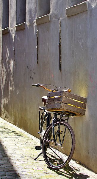 Abandoned Bike Blues von Eric Oudendijk