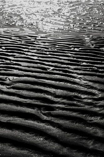 The beach of Castricum aan Zee, North Holland.
